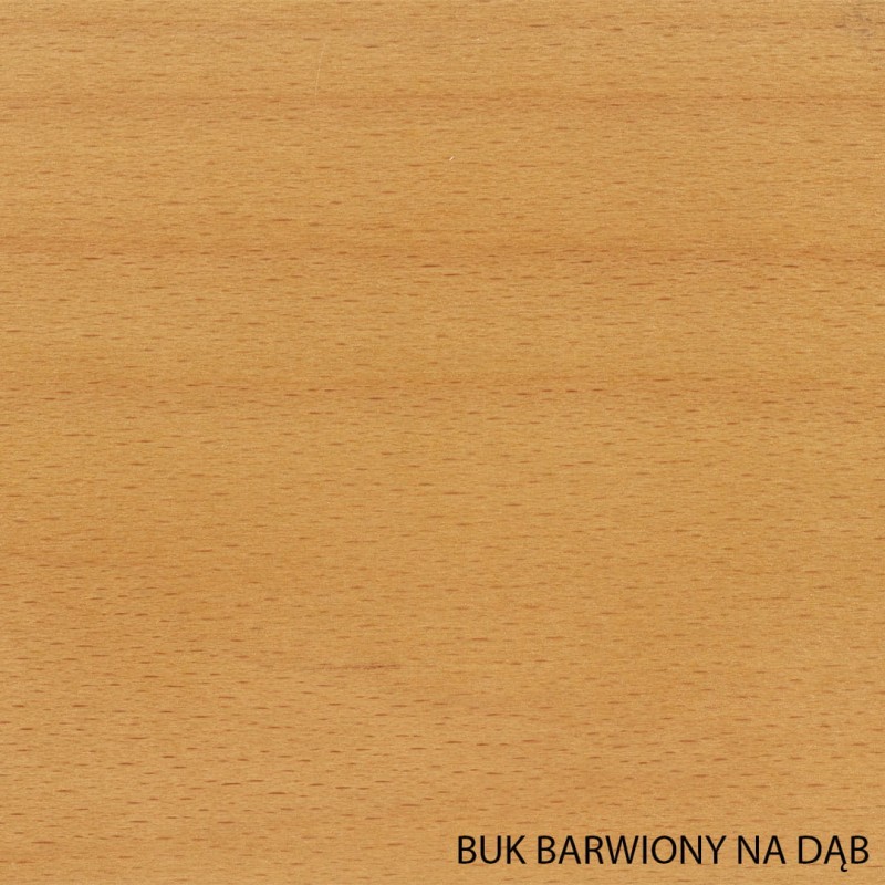 Buk barwiony