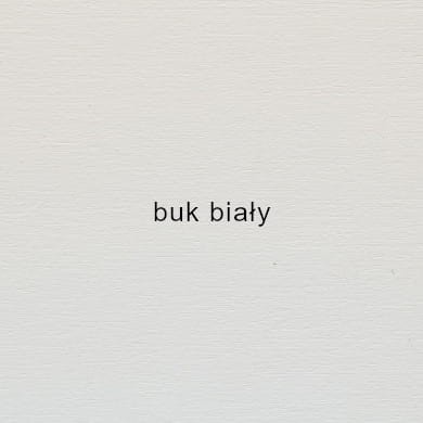buk-bialy-opis.jpg